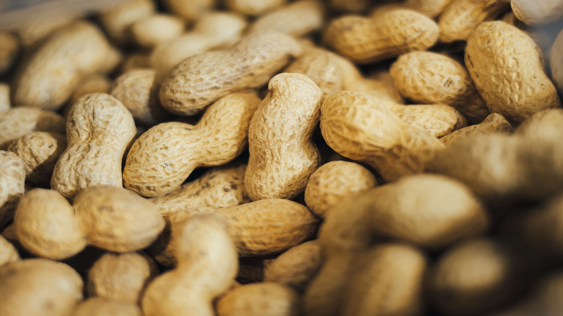 Диетолог Цуканова рассказала о пользе арахиса для женщин после 50 лет -  Здоровье Mail.ru