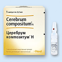 Cerebrum Compositum  -  2