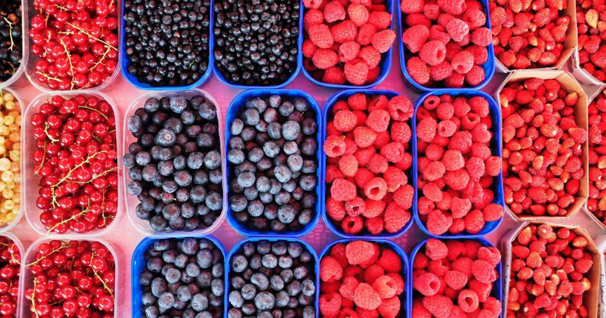 Die Vorteile von Himbeeren, Erdbeeren, Kirschen – Zdorovye Mail.ru