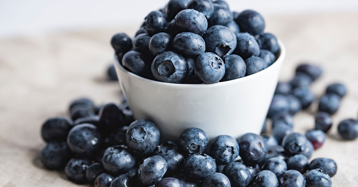 Blueberries Boost Brain Health and Blood Vessels in Older People, Reveals Study