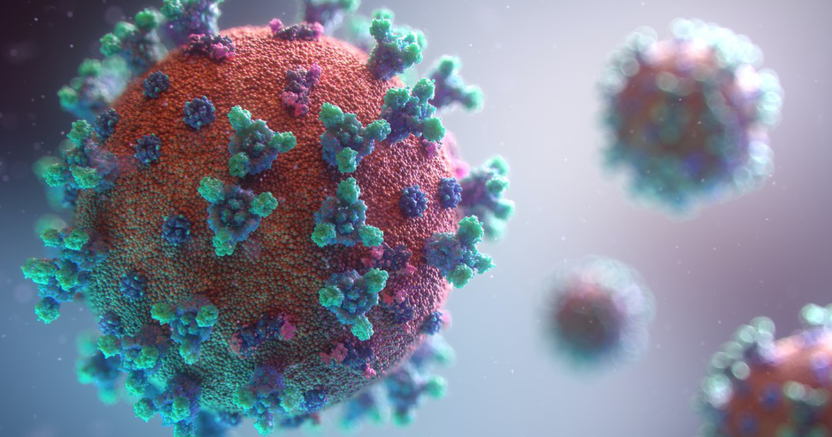 Der Arzt warnte vor der Sinnlosigkeit des Tests auf Antikörper gegen das Coronavirus